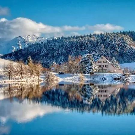 Chalet Des Cascades Le Mont-Dore